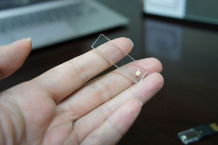 O Primeiro Celular Totalmente Transparente! (Imagem 3)