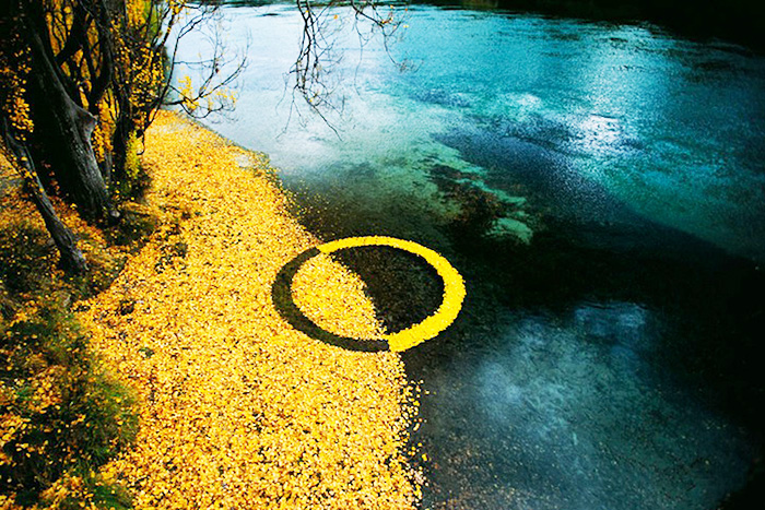 sunAutumnLeafCircle (1)